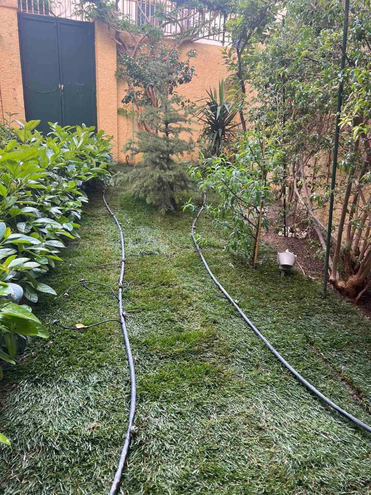 Τhe Hidden Garden Lägenhet Corfu  Exteriör bild