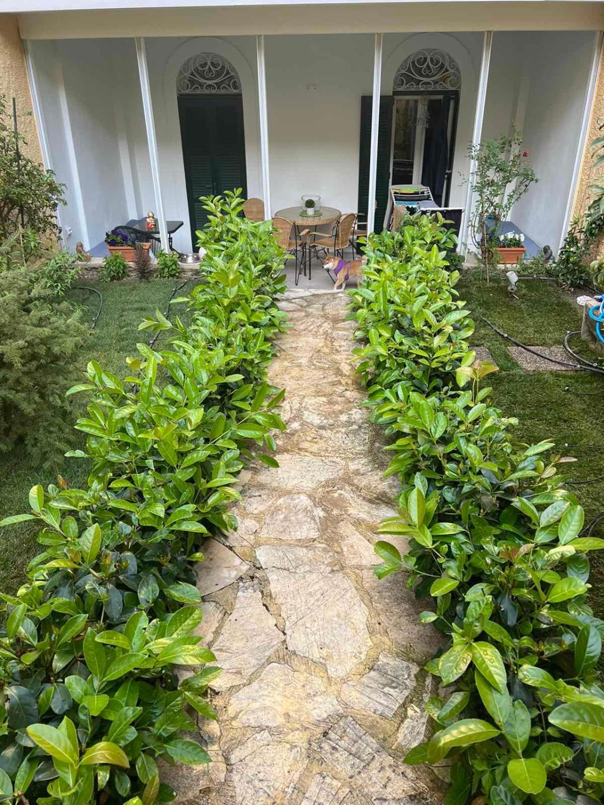 Τhe Hidden Garden Lägenhet Corfu  Exteriör bild
