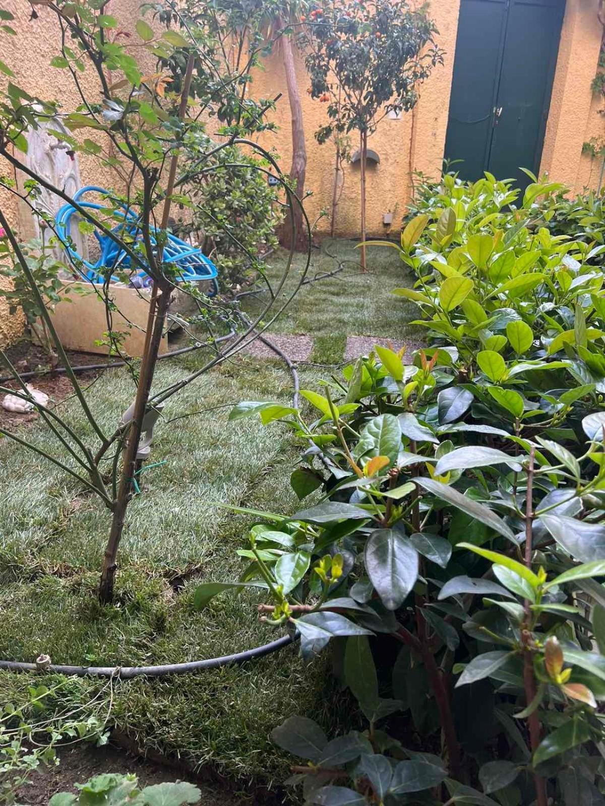 Τhe Hidden Garden Lägenhet Corfu  Exteriör bild