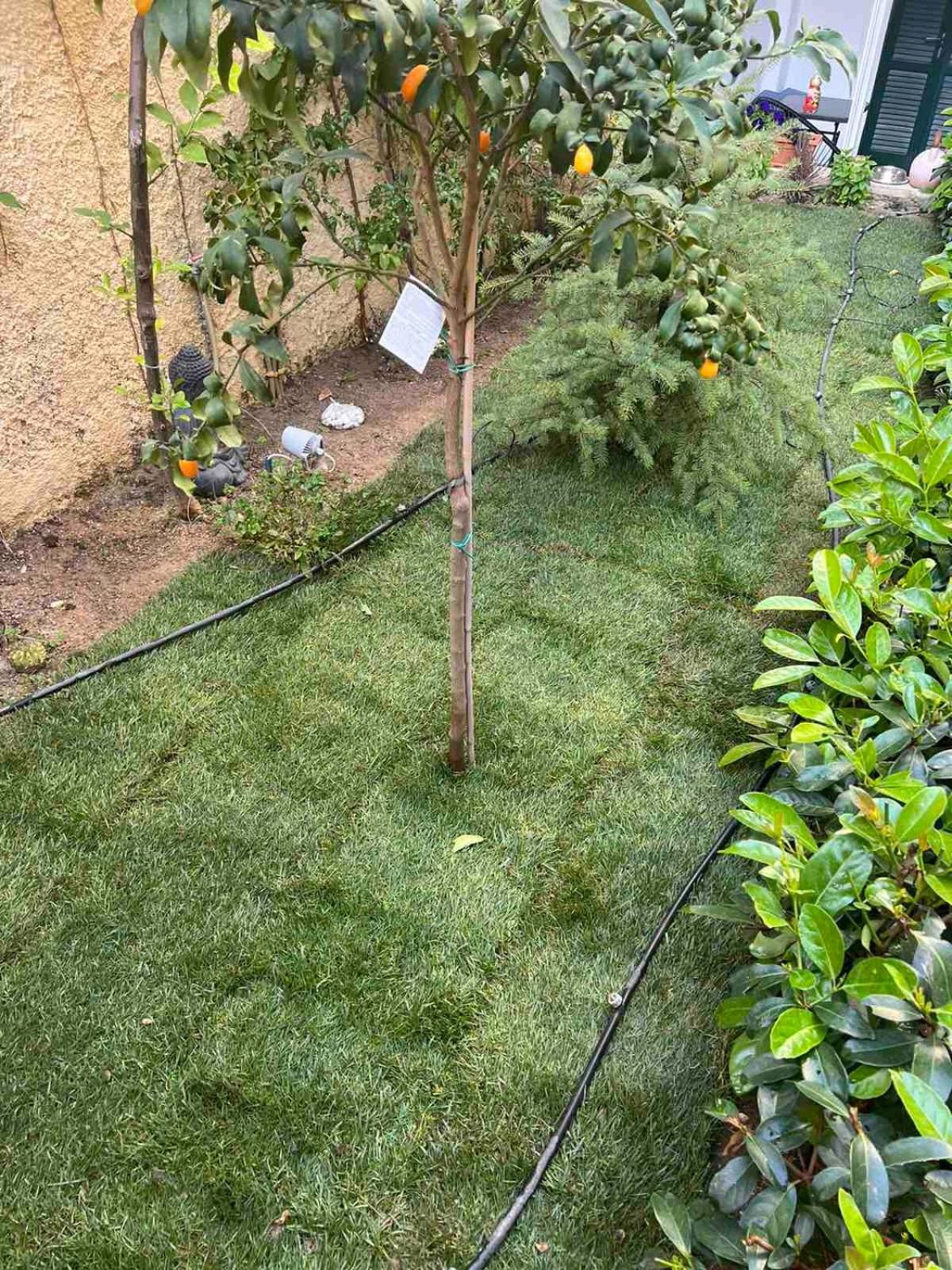 Τhe Hidden Garden Lägenhet Corfu  Exteriör bild